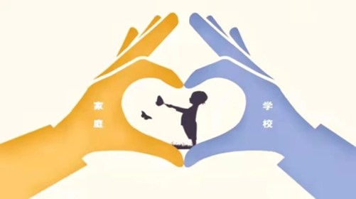 图片6